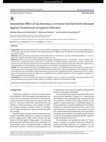 Research paper thumbnail of Antioxidant Effect of Saccharomyces cerevisiae Enriched with Selenium Against Pseudomonas aeruginosa Infection