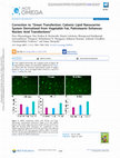 Research paper thumbnail of Correction to “Green Transfection: Cationic Lipid Nanocarrier System Derivatized from Vegetable Fat, Palmstearin Enhances Nucleic Acid Transfections”