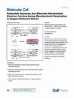 Research paper thumbnail of Polyketide Quinones Are Alternate Intermediate Electron Carriers during Mycobacterial Respiration in Oxygen-Deficient Niches