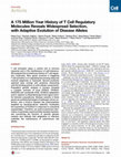 Research paper thumbnail of A 175 Million Year History of T Cell Regulatory Molecules Reveals Widespread Selection, with Adaptive Evolution of Disease Alleles