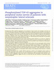 Research paper thumbnail of Phosphorylated TDP-43 aggregates in peripheral motor nerves of patients with amyotrophic lateral sclerosis