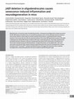 Research paper thumbnail of JAB1 deletion in oligodendrocytes causes senescence-induced inflammation and neurodegeneration in mice