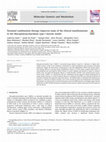 Research paper thumbnail of Neonatal combination therapy improves some of the clinical manifestations in the Mucopolysaccharidosis type I murine model