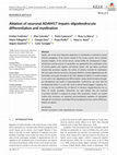 Research paper thumbnail of Ablation of neuronal ADAM17 impairs oligodendrocyte differentiation and myelination