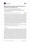 Research paper thumbnail of HMGA Proteins in Stemness and Differentiation of Embryonic and Adult Stem Cells