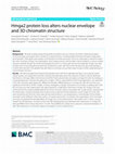 Research paper thumbnail of Hmga2 protein loss alters nuclear envelope and 3D chromatin structure