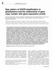 Research paper thumbnail of New pattern of EGFR amplification in glioblastoma and the relationship of gene copy number with gene expression profile