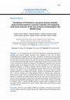 Research paper thumbnail of Parallelism of Prehistoric Lanzarote (Canary Islands) Quesera/Cheeseboard Lunisolar Calendar and intriguing strip band channels of the City of David archaeological site (Middle East)