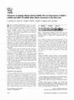 Research paper thumbnail of Influence of Ginkgo Biloba extract (EGB 761) on expression of EGR-1 mRNA and HSP-70 mRNA after warm ischemia in the rat liver