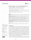 Research paper thumbnail of Fungi diversity in roots of Guarianthe skinneri in urban condition: velamen versus cortex