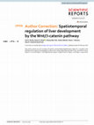 Research paper thumbnail of Author Correction: Spatiotemporal regulation of liver development by the Wnt/β-catenin pathway