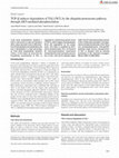 Research paper thumbnail of TGF-β induces degradation of TAL1/SCL by the ubiquitin-proteasome pathway through AKT-mediated phosphorylation