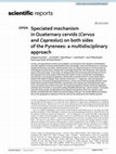 Research paper thumbnail of Speciated mechanism in Quaternary cervids (Cervus and Capreolus) on both sides of the Pyrenees: a multidisciplinary approach