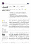 Research paper thumbnail of Antitumor Effects of Ral-GTPases Downregulation in Glioblastoma