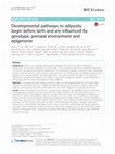 Research paper thumbnail of Developmental pathways to adiposity begin before birth and are influenced by genotype, prenatal environment and epigenome