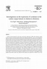 Research paper thumbnail of Investigations on the expression of cytokines in the canine corpus luteum in relation to dioestrus