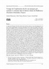 Research paper thumbnail of Remains of the iron exploitation during pre-Roman and Roman period in the mining district of Baillestavy (Eastern Pyrenees, France)