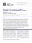 Research paper thumbnail of Carbofuran Alters Centrosome and Spindle Organization, and Delays Cell Division in Oocytes and Mitotic Cells