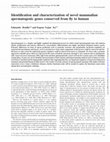 Research paper thumbnail of Identification and characterization of novel mammalian spermatogenic genes conserved from fly to human