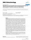 Research paper thumbnail of High efficiency electrotransformation of Lactococcus lactis spp. lactis cells pretreated with lithium acetate and dithiothreitol