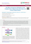 Research paper thumbnail of The Effects of Exogenous Modulation on the Peripheral Nerve Regeneration after Injury and Primary Surgical Repair