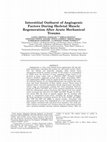 Research paper thumbnail of Interstitial outburst of angiogenic factors during skeletal muscle regeneration after acute mechanical trauma