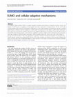 Research paper thumbnail of SUMO and cellular adaptive mechanisms