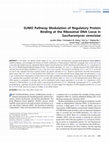 Research paper thumbnail of SUMO Pathway Modulation of Regulatory Protein Binding at the Ribosomal DNA Locus in <i>Saccharomyces cerevisiae</i>