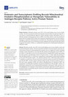 Research paper thumbnail of Proteomic and Transcriptomic Profiling Reveals Mitochondrial Oxidative Phosphorylation as Therapeutic Vulnerability in Androgen Receptor Pathway Active Prostate Tumors