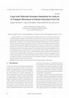 Research paper thumbnail of Large-scale Molecular Dynamics Simulations for Analyses of Transport Phenomena in Polymer Electrolyte Fuel Cell