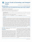 Research paper thumbnail of Latania Scale Insect Parasitoid Interactions under Field Conditions