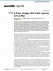 Research paper thumbnail of 2-D sex images elicit mate copying in fruit flies