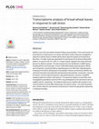 Research paper thumbnail of Transcriptome analysis of bread wheat leaves in response to salt stress