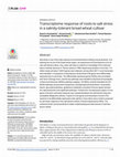 Research paper thumbnail of Transcriptome response of roots to salt stress in a salinity-tolerant bread wheat cultivar