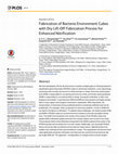 Research paper thumbnail of Fabrication of Bacteria Environment Cubes with Dry Lift-Off Fabrication Process for Enhanced Nitrification