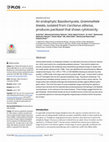 Research paper thumbnail of An endophytic Basidiomycete, Grammothele lineata, isolated from Corchorus olitorius, produces paclitaxel that shows cytotoxicity