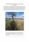 Research paper thumbnail of The Fens Cut Off Channel, and how Daffy Green's rain gets to Colchester