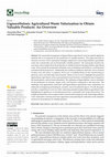 Research paper thumbnail of Lignocellulosic Agricultural Waste Valorization to Obtain Valuable Products: An Overview