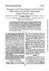 Research paper thumbnail of Secondary and Tertiary Responses of the Induced Bactericidin from the West Indian Spiny Lobster, Panulirus argus