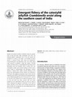 Research paper thumbnail of Emergent fishery of the catostylid jellyfish Crambionella orsini along the southern coast of India