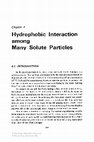 Research paper thumbnail of Hydrophobic Interaction among Many Solute Particles