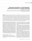 Research paper thumbnail of Evolutionary Branching in a Finite Population: Deterministic Branching <i>vs.</i> Stochastic Branching