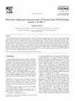 Research paper thumbnail of Molecular cloning and expression study of Xenopus latent TGF-β binding protein-1 (LTBP-1)