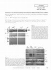 Research paper thumbnail of Spontaneous air space enlargement in the lungs of mice lacking tissue inhibitor of metalloproteinases-3 (TIMP-3)