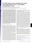 Research paper thumbnail of The CD83 reporter mouse elucidates the activity of the CD83 promoter in B, T, and dendritic cell populations<i>in vivo</i>