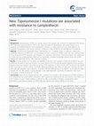 Research paper thumbnail of New Topoisomerase I mutations are associated with resistance to camptothecin