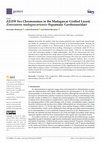 Research paper thumbnail of ZZ/ZW Sex Chromosomes in the Madagascar Girdled Lizard, Zonosaurus madagascariensis (Squamata: Gerrhosauridae)