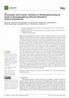 Research paper thumbnail of Phenotypic and Genetic Variation in Morphophysiological Traits in Huanglongbing-Affected Mandarin Hybrid Populations