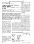 Research paper thumbnail of Somatic Hybridization of Complementary Citrus Rootstock:Five New Hybrids