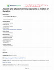 Research paper thumbnail of Ascent and attachment in pea plants: a matter of iteration